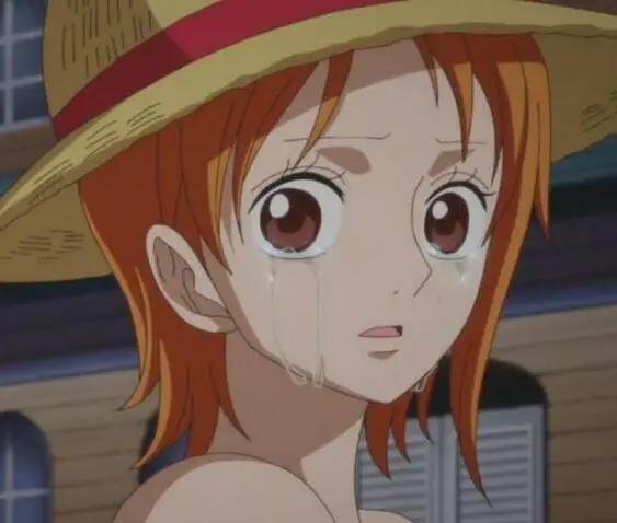 海贼王：美貌与实力并存的五位女性，娜美上榜，女帝只排第三