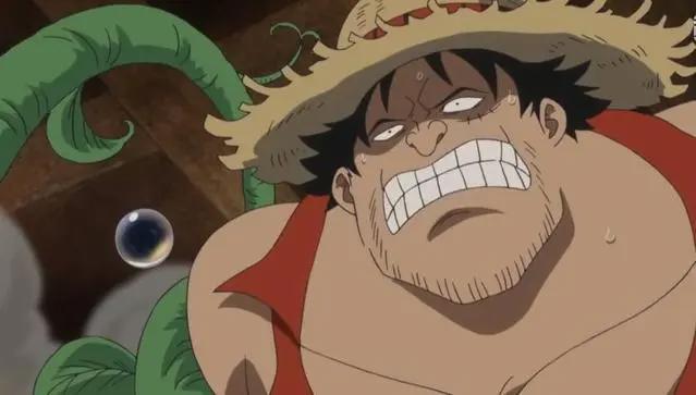 海贼王：假冒草帽团的7个人，娜美怀孕，索隆肥了10斤肉