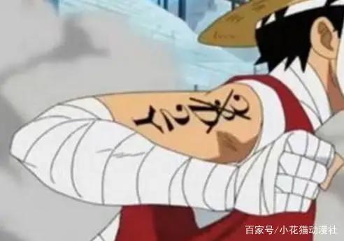 海贼王里的纹身含义，娜美、艾斯都是为了纪念，最后一个鲜为人知