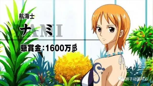 海贼王杂谈，娜美被无数人争抢，娜美才是最受欢迎的船员