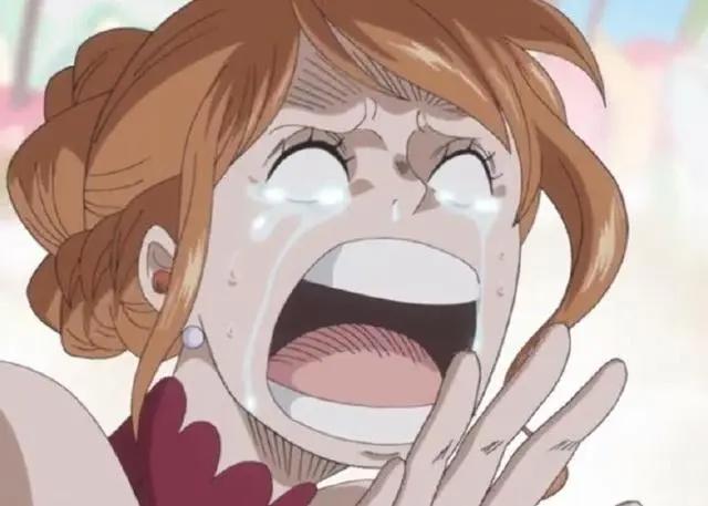 海贼王：娜美流泪的样子，真的能把人美哭