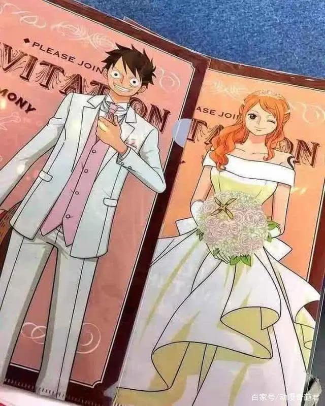 海贼王娜美和路飞结婚后生了两个女儿，网友感叹娜美基因太强大