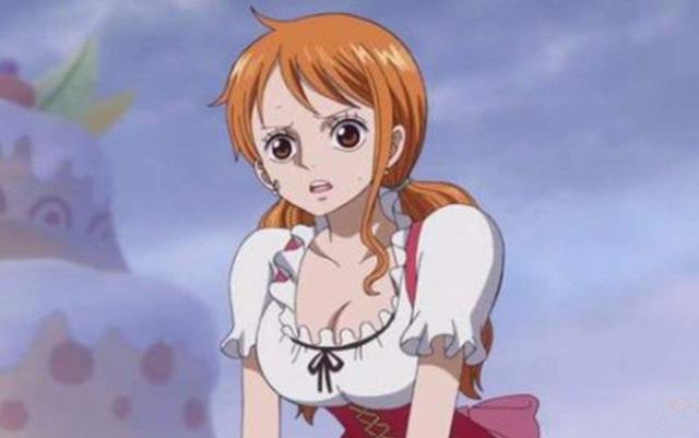 《海贼王》娜美是什么身份？