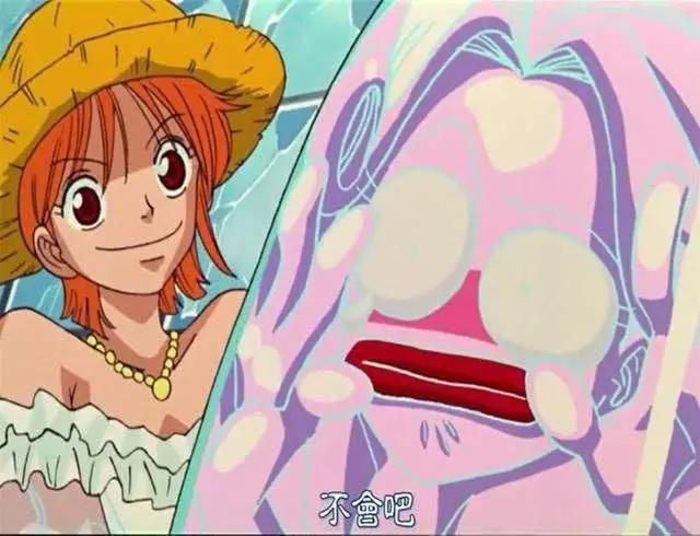 海贼王：娜美“打败”6个美女，战斗福利时间，你最心疼哪一个？