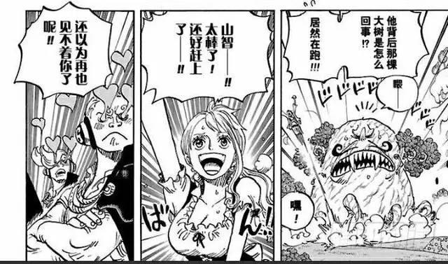 为什么那么多人喜欢娜美？