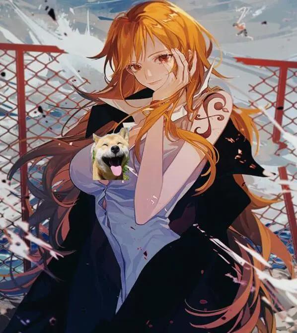 海贼王：娜美的圣诞美图，满满都是福利味道，海米们也要山治化了