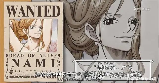 海贼王：娜美才是真女主，女神福利一波接着一波