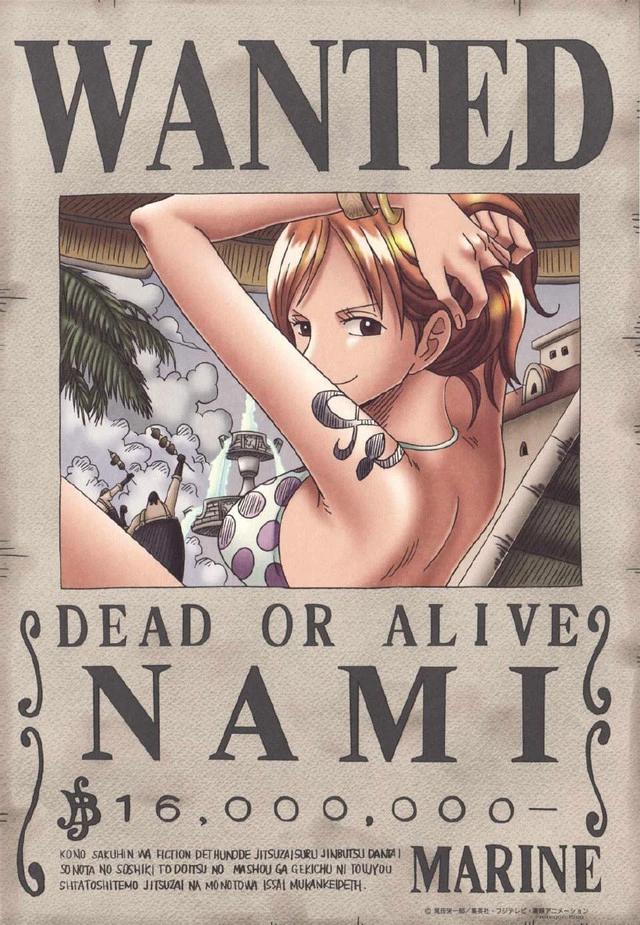 海贼王少女娜美成长记