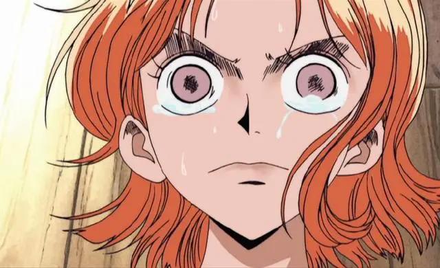 海贼王里娜美生无可恋的八张图亮点在第三张