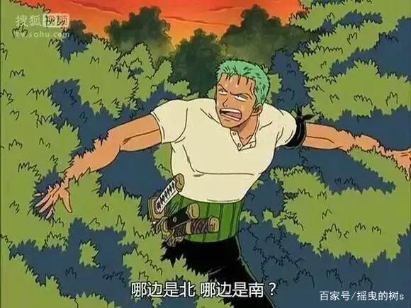 为什么那么多人喜欢索隆？