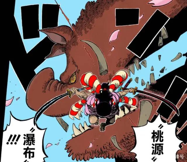 海贼王：索隆的身世曝光！原来索隆也是光月家族的人！