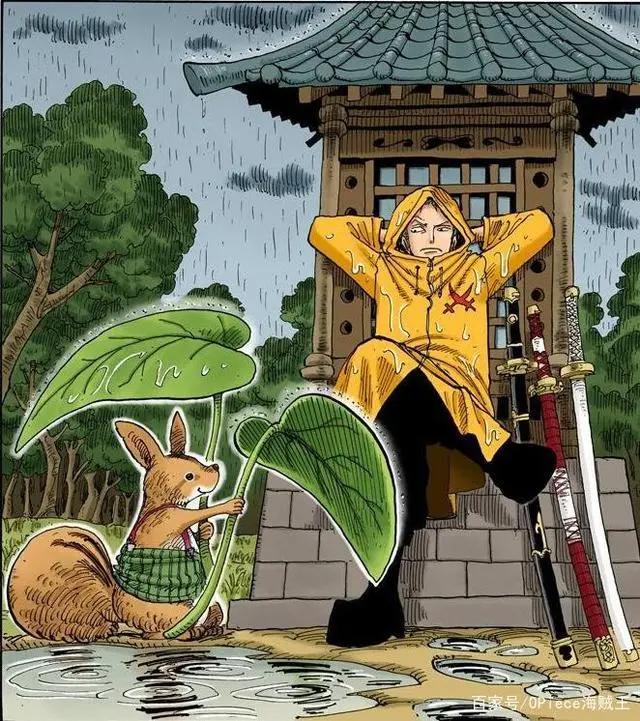 海贼王最强路痴索隆的扉页故事！你原来是这样的索隆