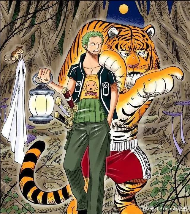 海贼王最强路痴索隆的扉页故事！你原来是这样的索隆