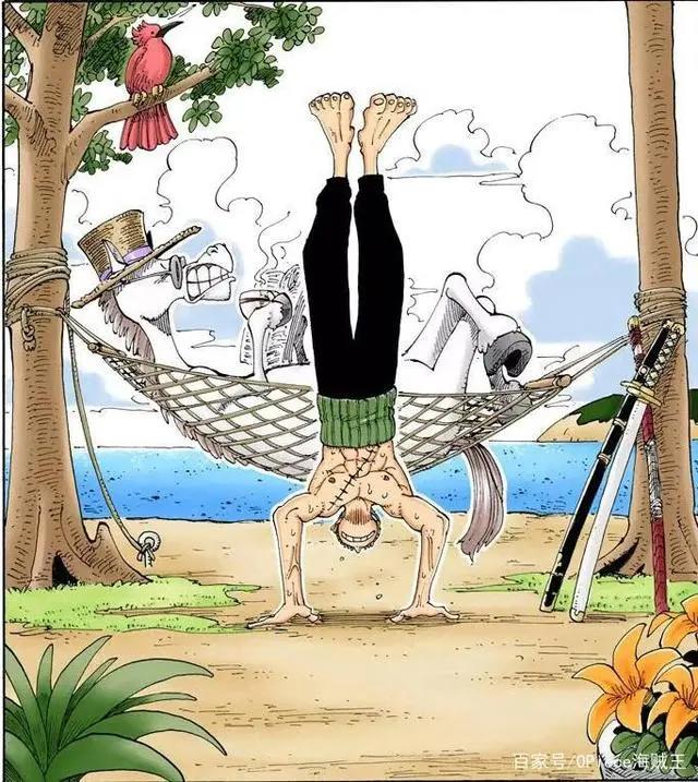 海贼王最强路痴索隆的扉页故事！你原来是这样的索隆