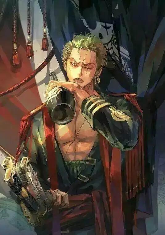 还记得《海贼王》里的索隆？预计还要掉线一年！