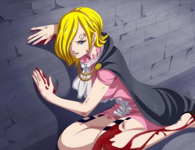 海贼王：三大主力的家族，索隆有身世之谜