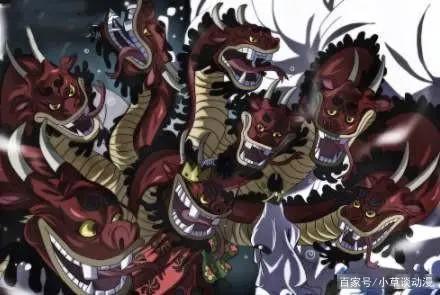 海贼王：硬汉索隆的成长之路