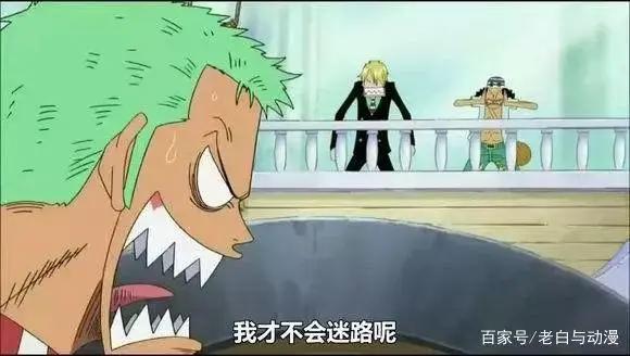 海贼王：适合索隆的五颗果实，第三颗是他想要的，最后一颗不存在