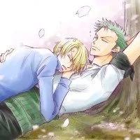 海贼王：索隆的九大配对，谁最适合索隆！