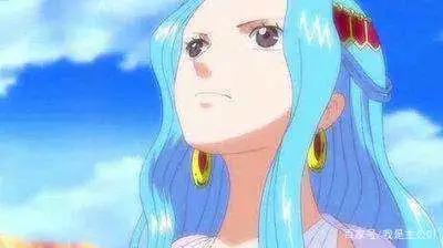 海贼王：路飞的“后宫佳丽”