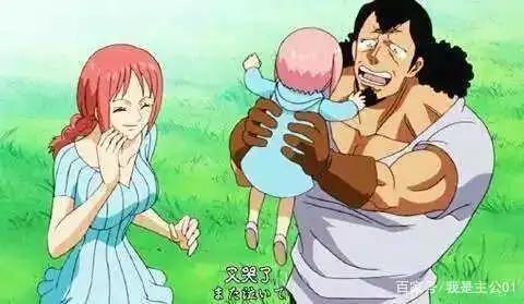 海贼王:路飞的“后宫佳丽”