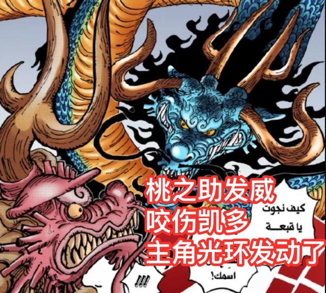 海贼王1026话：路飞实力暴涨至皇级，升级太快遭吐槽，战力崩了