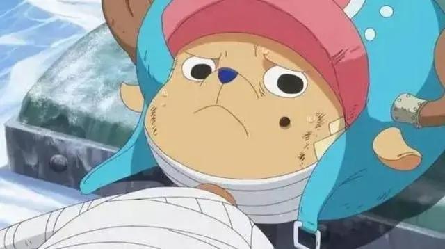 海贼王中路飞的四个特殊爱好，网友：路飞能活到现在也算奇迹了！