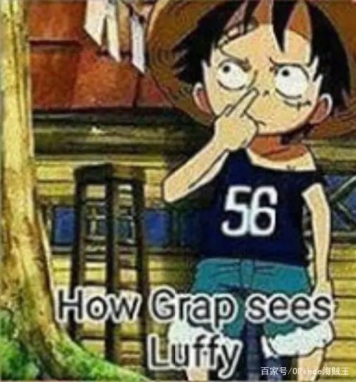 海贼王：别人眼中路飞的8种模样，女帝视角与艾斯视角差别真大