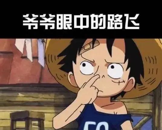 海贼王：这是众人眼中的路飞，你眼中的路飞是什么形象？