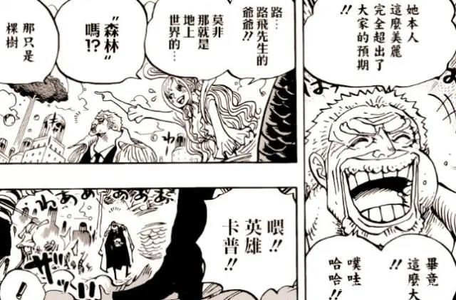 路飞官配老婆登场，女帝彻底成为过去式，网友：四档不够用了！