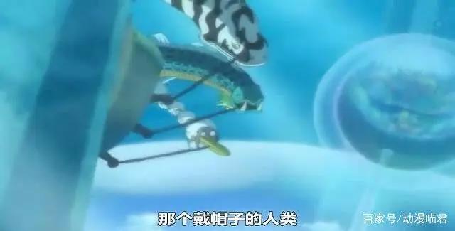 为什么是路飞当海贼王？尾田给的五个伏笔