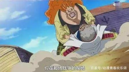 海贼王：最爱路飞的是谁，女帝只能排第二名