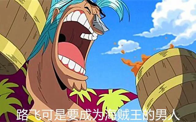路飞能成为海贼王的原因，其实真相就在草帽海贼团中