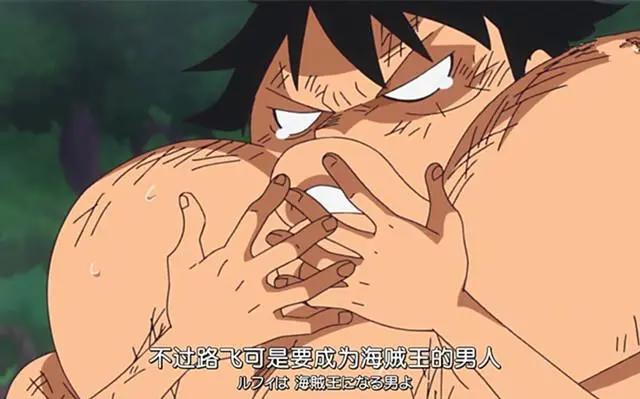 路飞能成为海贼王的原因，其实真相就在草帽海贼团中