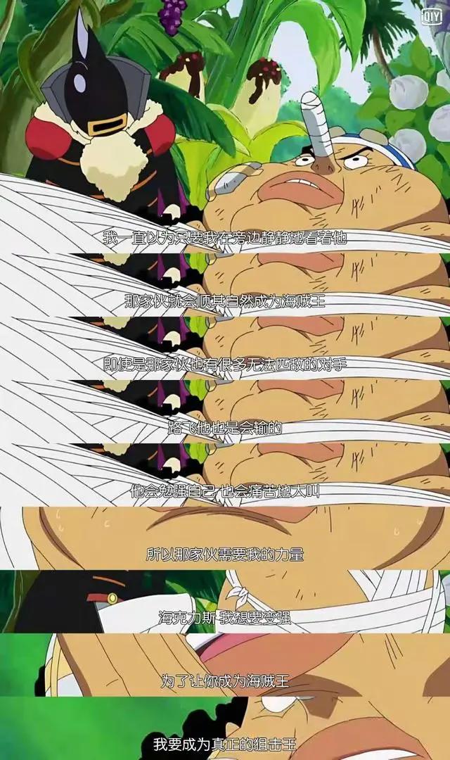 海贼王，草帽海贼团表白路飞原来是这样的，每人都在为路飞努力