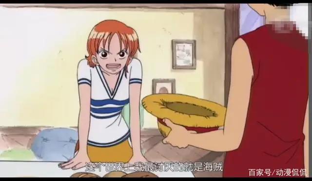 海贼王：路飞的经历