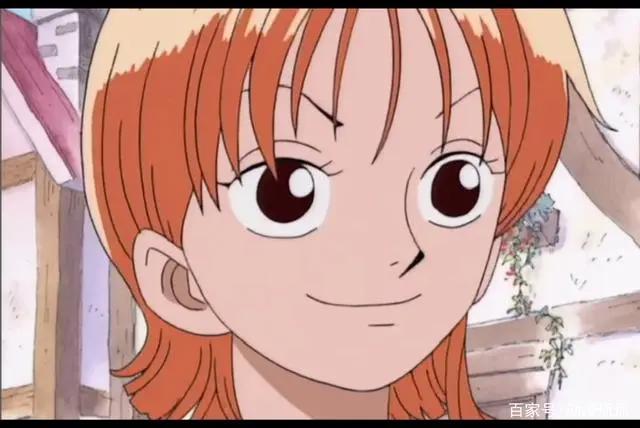 海贼王：路飞的经历