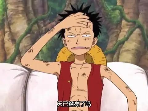 如何评价《海贼王》路飞？