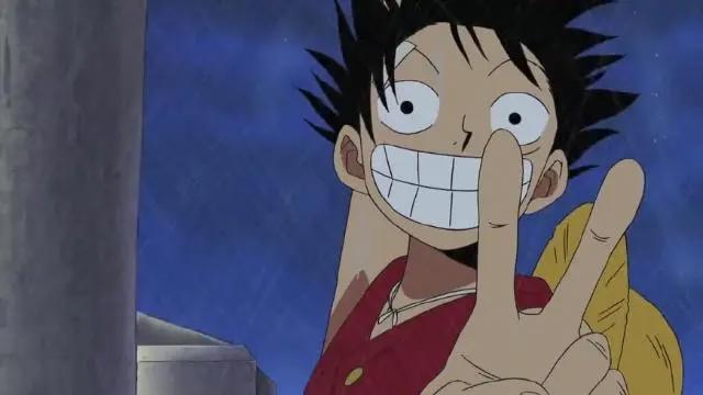 如何评价《海贼王》路飞？