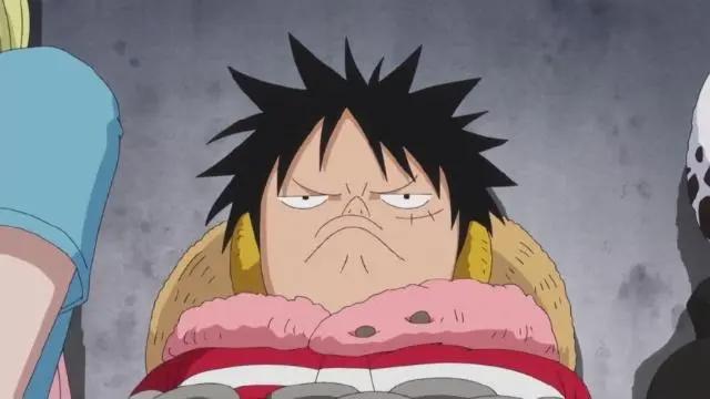 如何评价《海贼王》路飞？