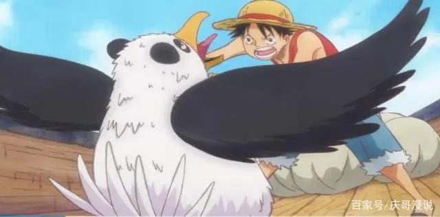 海贼王:另一个路飞的故事!