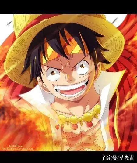 路飞成长史，海米看完热泪盈眶