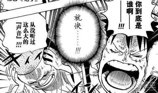 路飞的隐藏技能，可能是成为海贼王的关键，只有三个人拥有