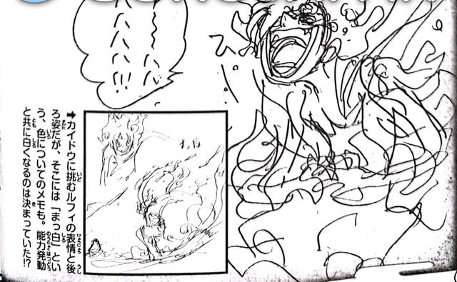 海贼王：路飞五档绝密设定公开，三大特性，力量与想象力有关