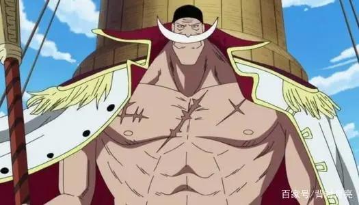 《海贼王》里的人物实力排行榜