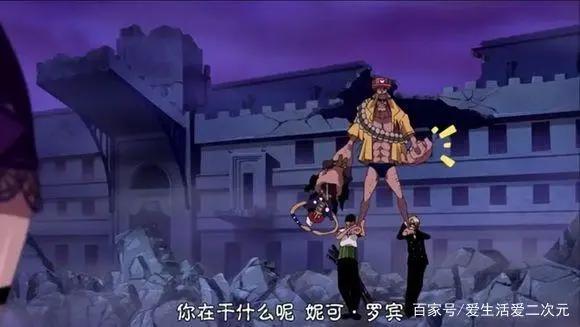 一家人终于齐齐整整了，《海贼王》罗宾终于也沦陷了