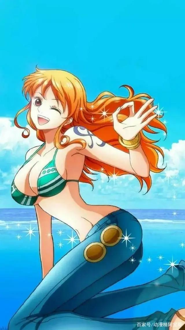 《海贼王》草帽海贼团——船员定位
