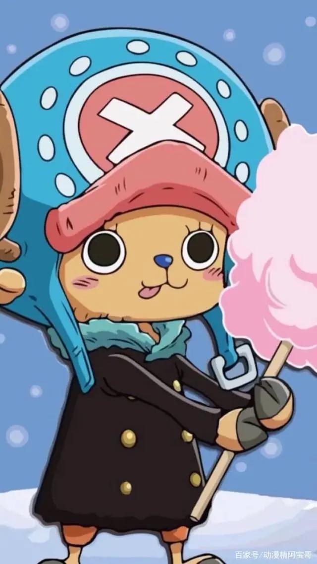 《海贼王》草帽海贼团——船员定位