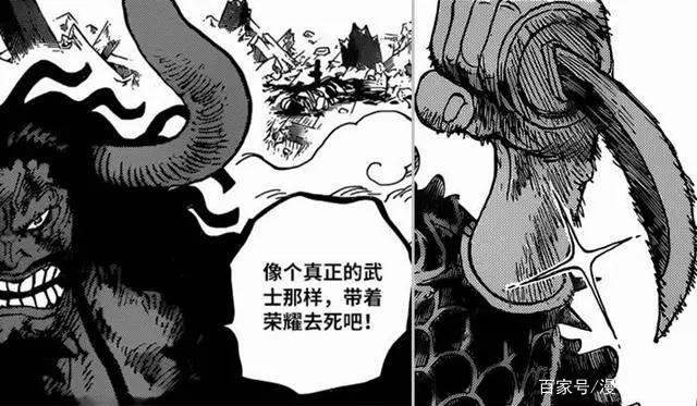 海贼王1015：锦皇诞生，吃下凯多一棒仍有意识，路飞御田甘拜下风