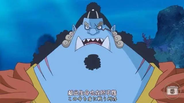《海贼王》最新情报，草帽单干已无出路，强强联手才是王道